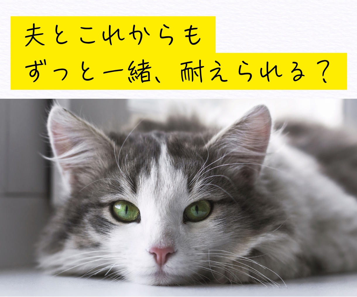 50代女性限定。夫の愚痴、何でも聞きます モヤモヤを抱えないで。“この年齢だから”話せることがあります イメージ2