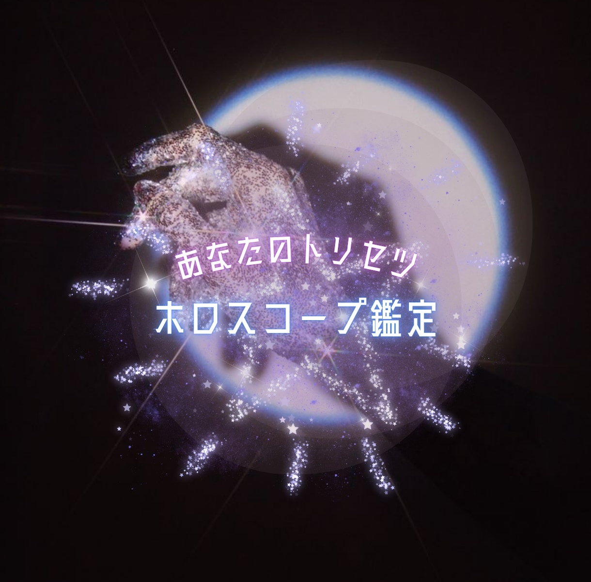 モニター価格❤︎ホロスコープを読み解きます 〜星を味方につけ、自分を使いこなす〜 イメージ1