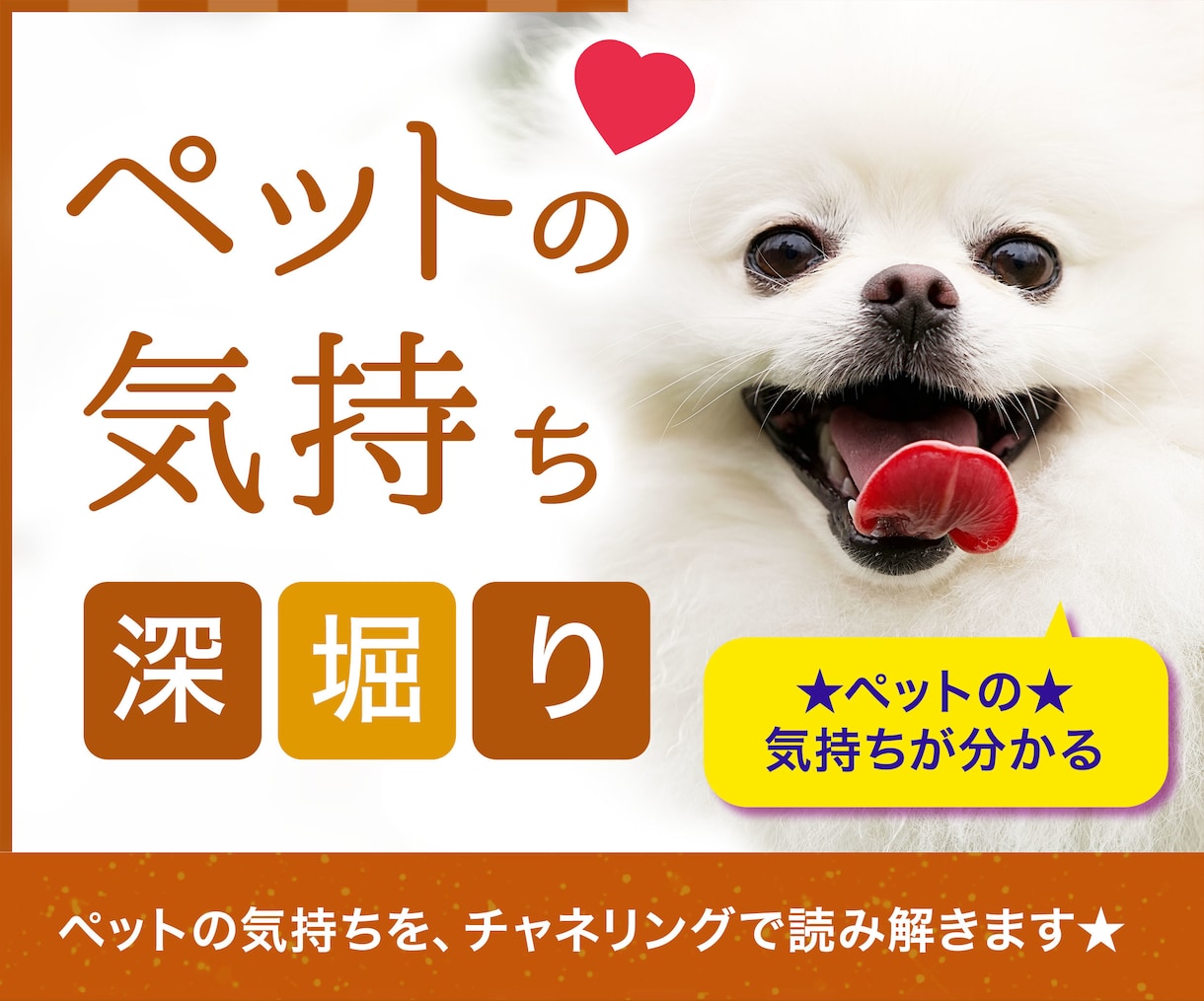 ペットの【気持ち】心理の裏まで深堀りして占います ☆大手の電話占い会社所属鑑定士が、あなたの心を軽くします☆ イメージ1