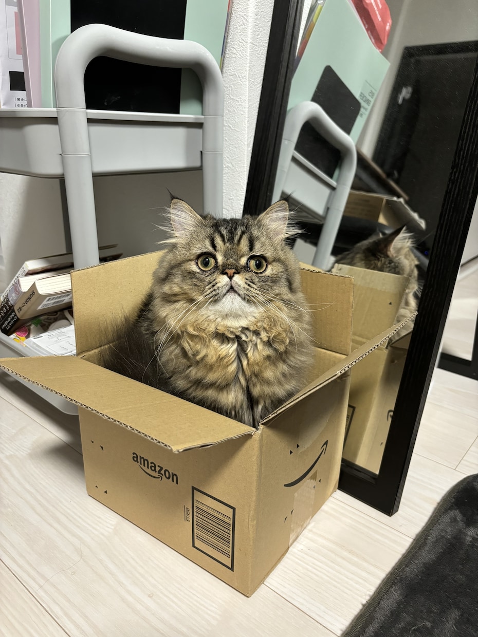 大事なペットのかわいい自慢聞きます 大好きな家族のお話しましょう！ イメージ1