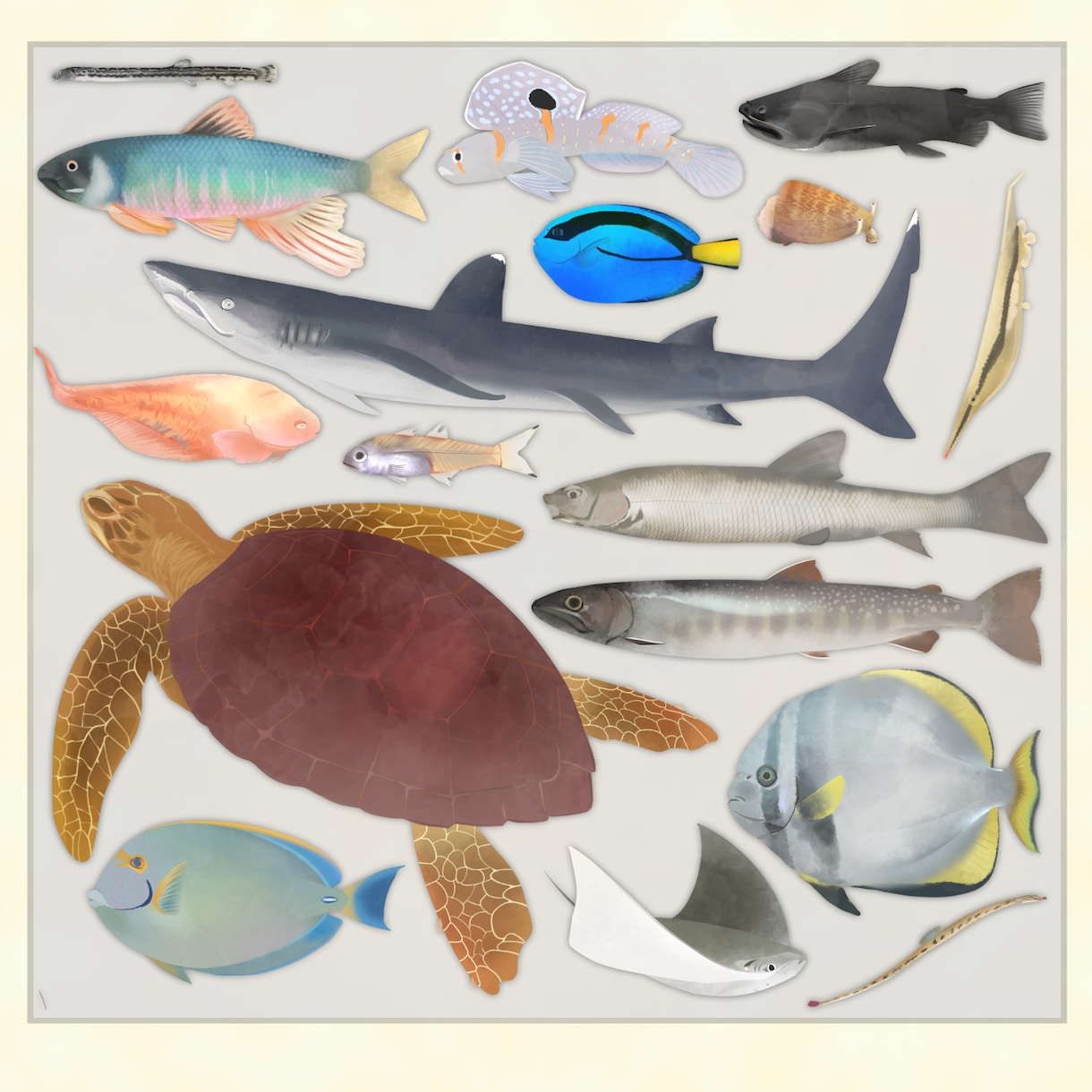 SNS・アイコンに使える高品質な魚イラスト描きます 水族館好き現役VTuberが描く、リアルで美しい作画 イメージ1