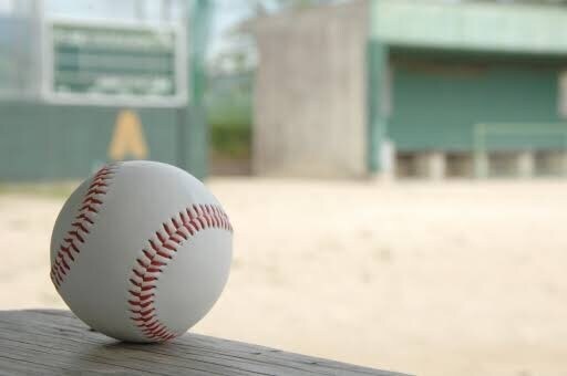 野球が上手くなりたい。その想いを支えます 〜夏の甲子園ベスト4の元球児が親身にお手伝い致します〜 イメージ2