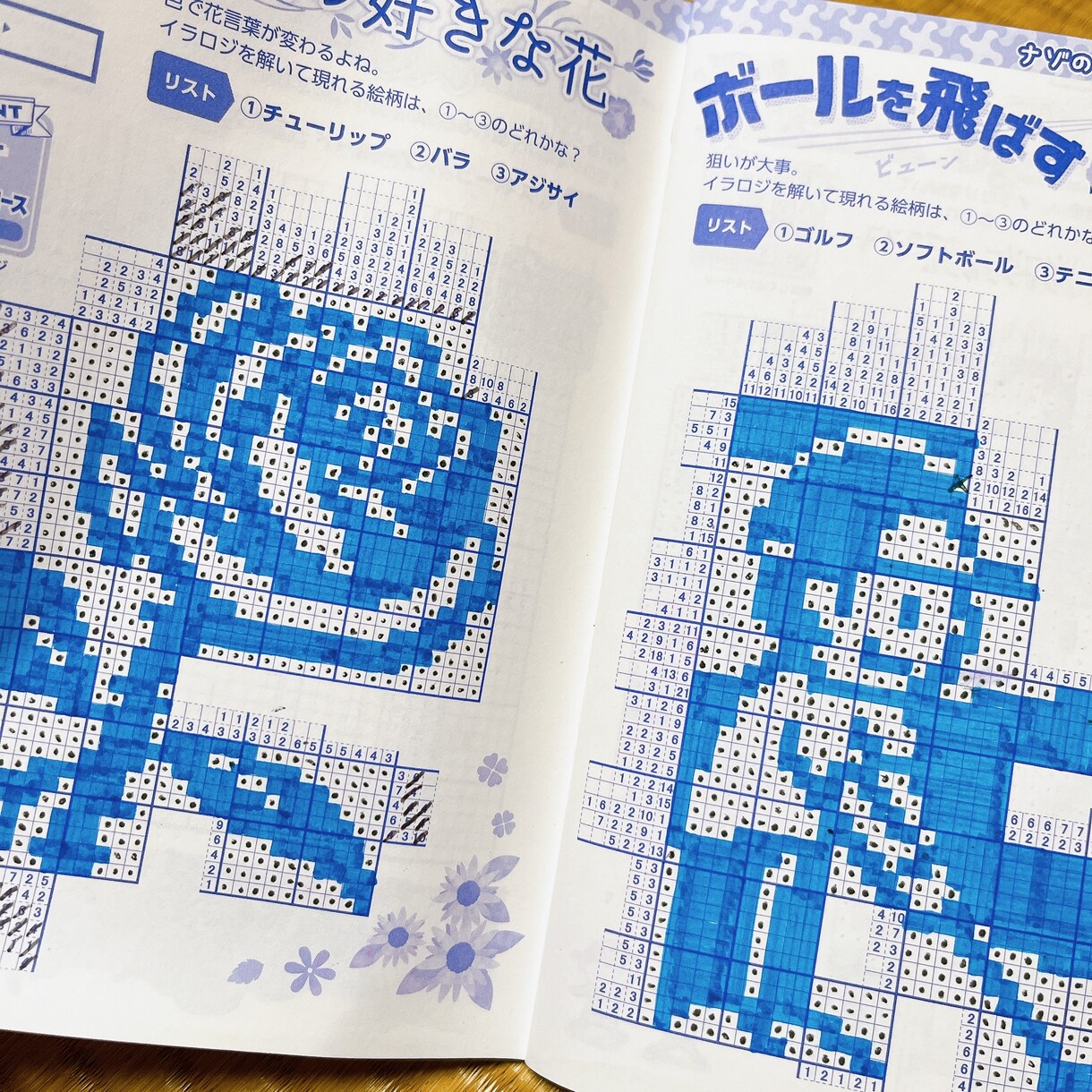 イラストロジック【３０×３０マスまで】私が解きます ねこの手も借りたい！！量が解ききれない！ロジックわからない！ イメージ7