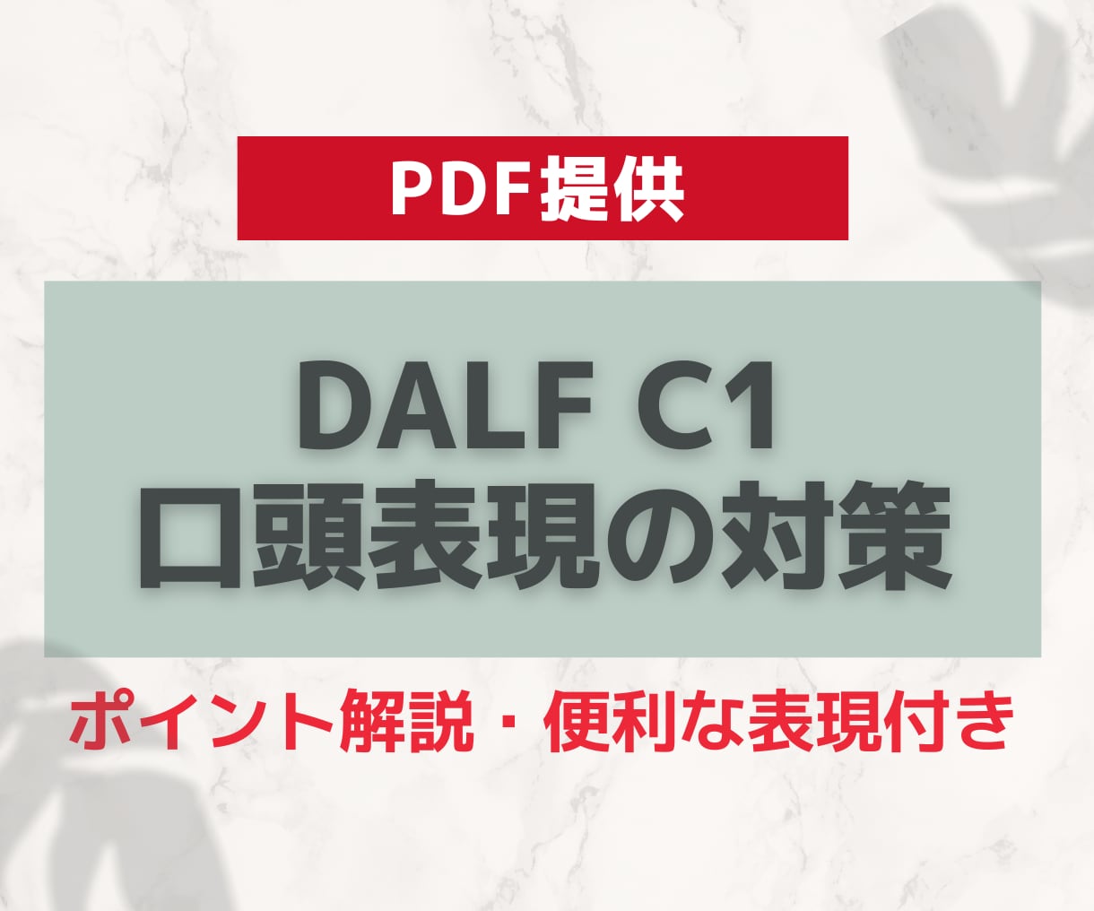 PDF★DALF C1 口頭表現対策を提供します 口頭表現で9割の得点取得者のノウハウ公開 イメージ1