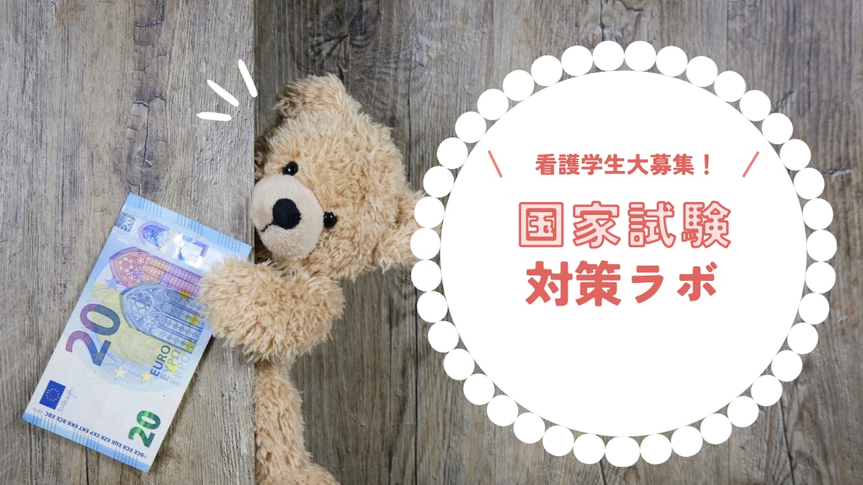 看護師国家試験対策の学習計画サポートします 計画倒れにならない学習計画を一緒に立案していきましょう！ イメージ2