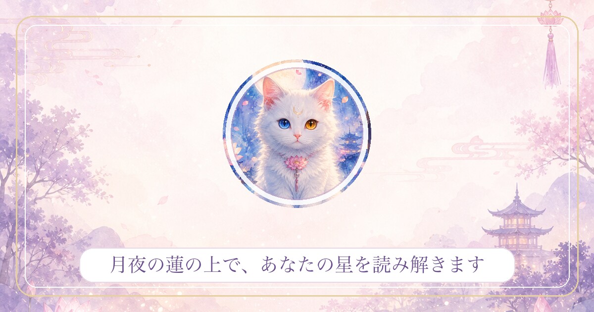 白猫シフォンの月占いであなたの星を紐解きます 月夜の蓮の上で、あなたの星をやさしく紐解きます イメージ1