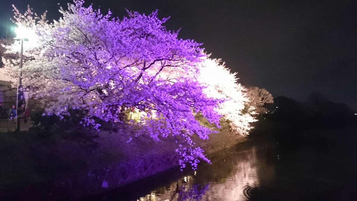 希望の風水教えます 人間関係、仕事、恋愛、金銭など、おすすめの風水教えます。 イメージ1