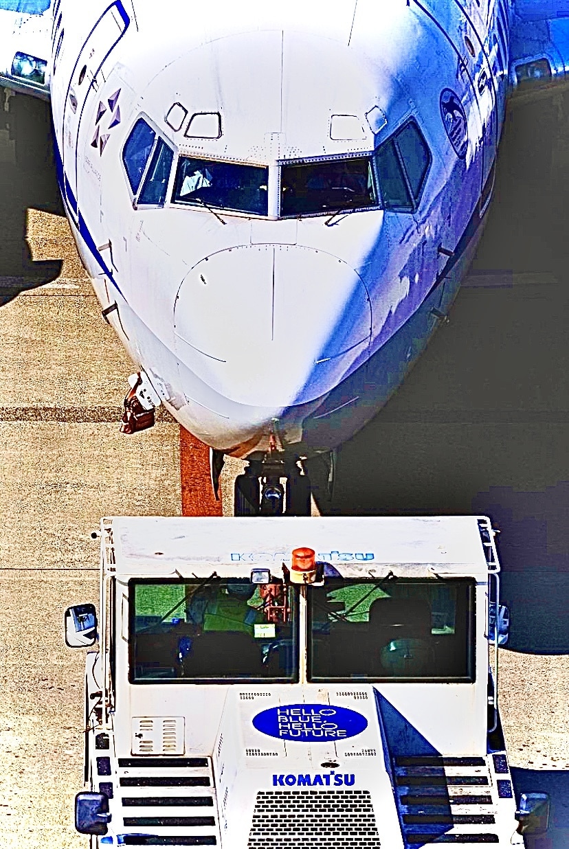 写真だけど絵見たいなを作ります 普通の写真を絵具で書いた様な写真に編集します イメージ2