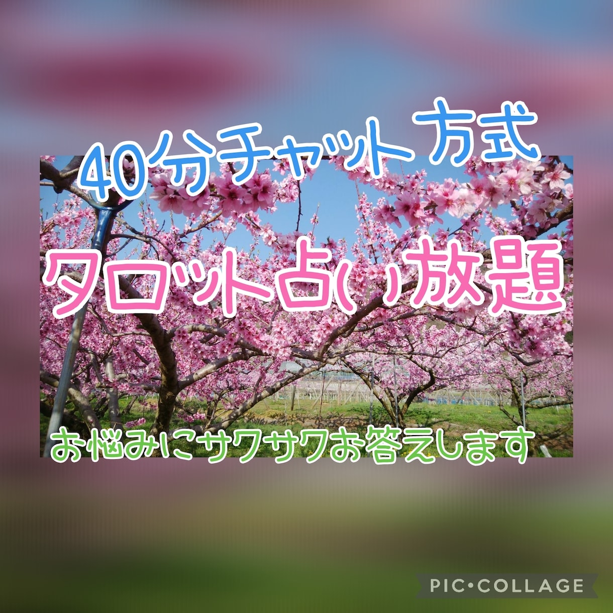 40分チャット鑑定✨タロット占いをします タロット占いをリアルタイムでチャット方式に拝見させて頂きます イメージ1