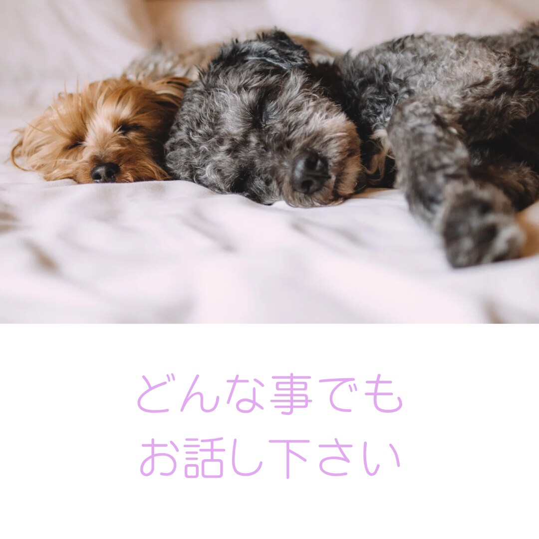 不登校のお悩み✨カウンセラーが優しくサポートします 不登校、引きこもり、発達障害、子育てのお悩みに寄り添います イメージ4