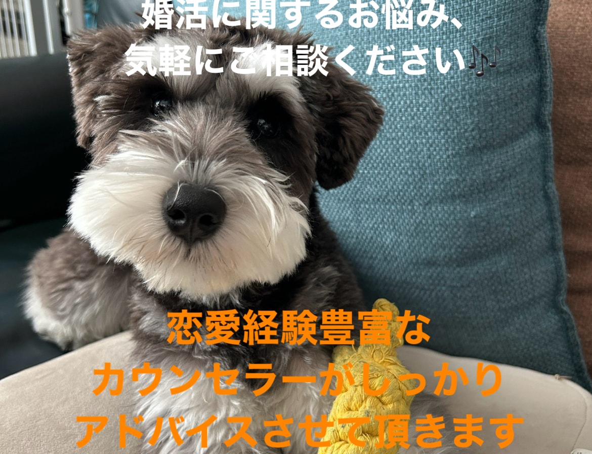 カウンセラーが説くマッチングのハウトゥー教えます 出会い方からご成婚まで親身にアドバイスさせて頂きます イメージ1