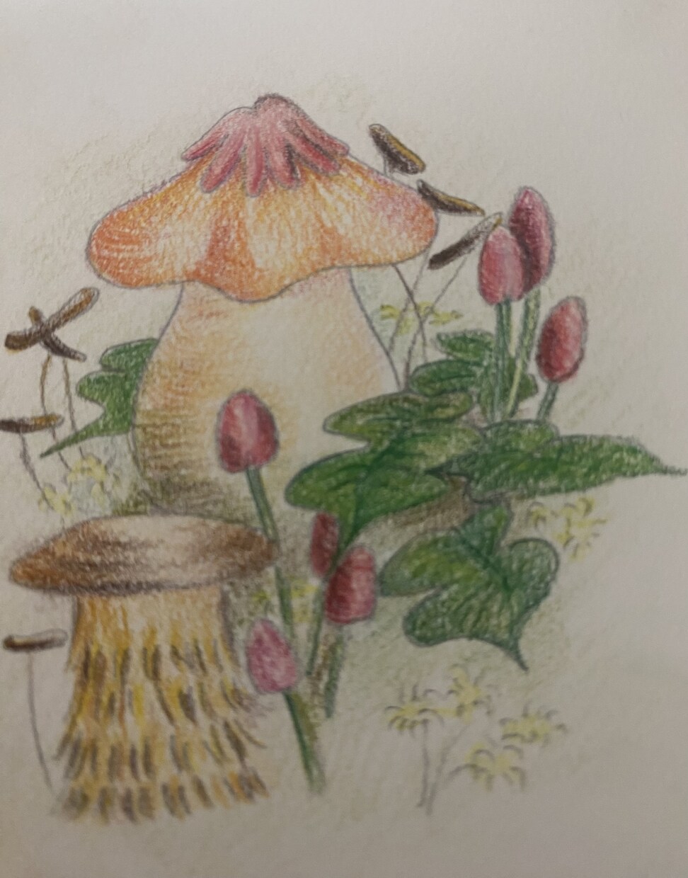 手書きイラストを描きます 色鉛筆を使った優しいイラストが得意です！ イメージ1