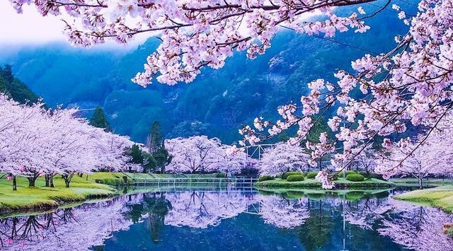 2025年！！日本を動かす革命家の同志を募ります ☆日本国民よ共に立ち上がろう！夜明けの鐘を鳴らすのは貴方☆ イメージ9