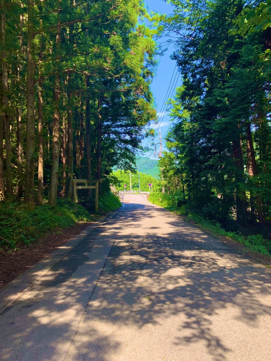 自宅自粛つまらない人は、僕たちと話して楽しみます たわいもない話や相談でも！21歳男性2人でサポートします！ イメージ1