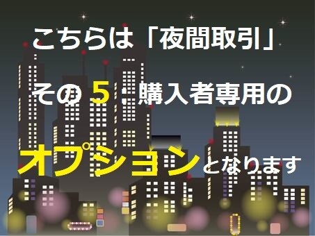 その5「夜間取引」購入者限定オプションとなります ここでしか得られない喜びを共有しましょう ! イメージ1