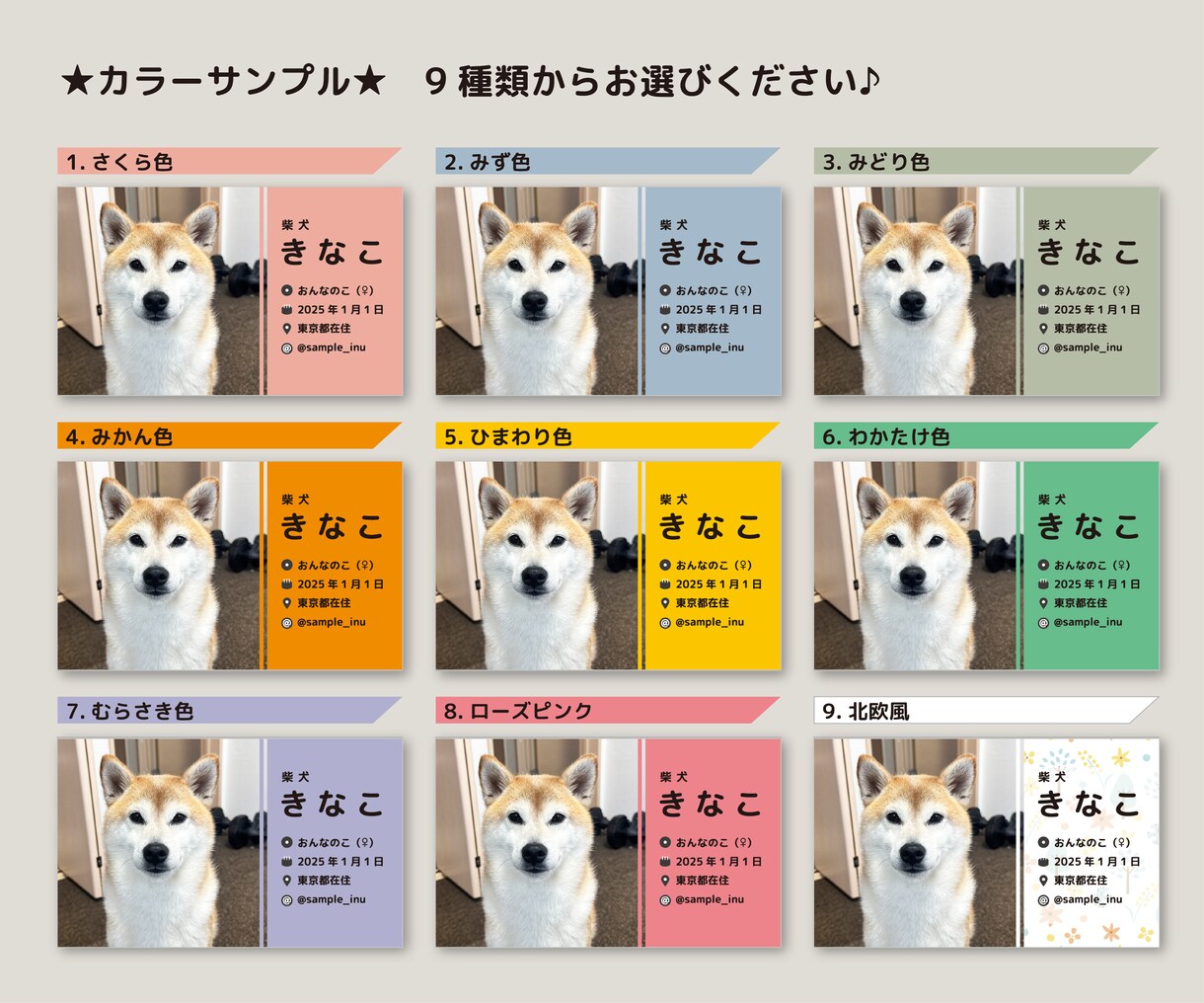 うちの子プロフィールカード作ります セミオーダー名刺｜100枚印刷代込｜オフ会やドッグランで活躍 イメージ3