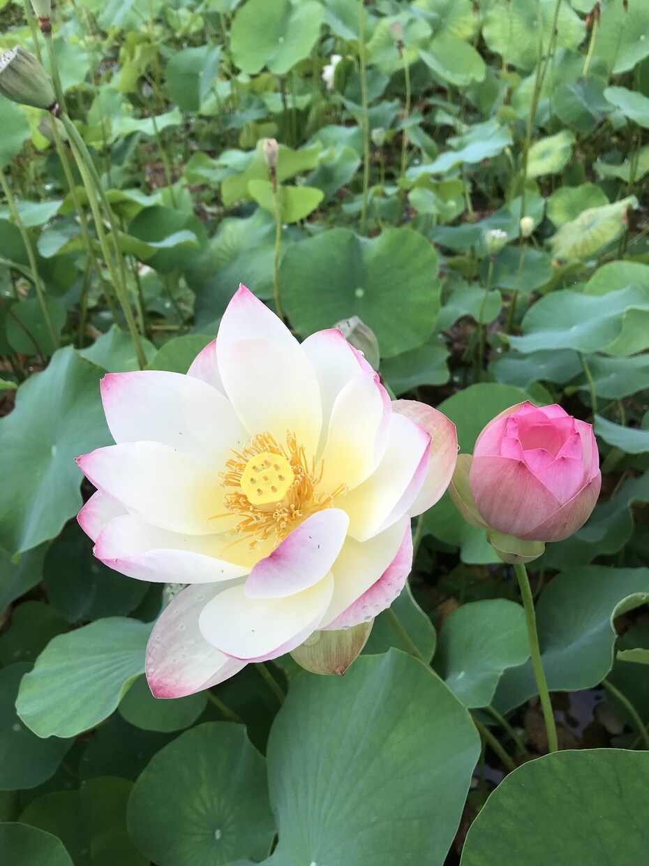 あなたの居場所はすぐそこにあります あなたがあなたを癒し労わり愛せる居場所 イメージ5