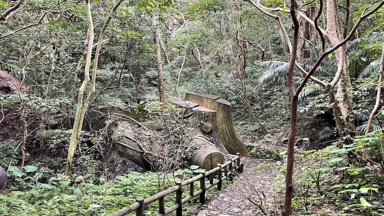 現役自転車ツアーガイドが沖縄旅行の相談乗ります 沖縄を知り尽くしたガイドが定番からディープな沖縄まで紹介 イメージ6