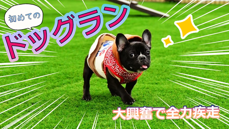 動画編集承ります 早くて安いをモットーに動画編集作業行います。 イメージ4