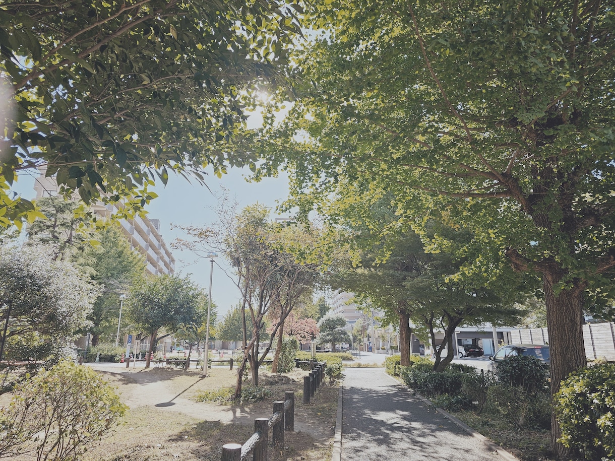 自然の写真を提供いたします 旅行先で撮った写真を提供いたします。 イメージ1