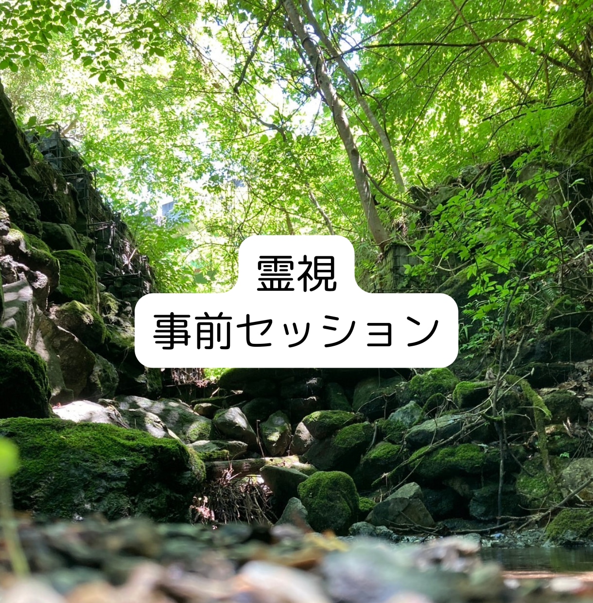 事前セッション受付ます /気づきが道をひらく、魂から整えるスピリチュアルセッション イメージ1