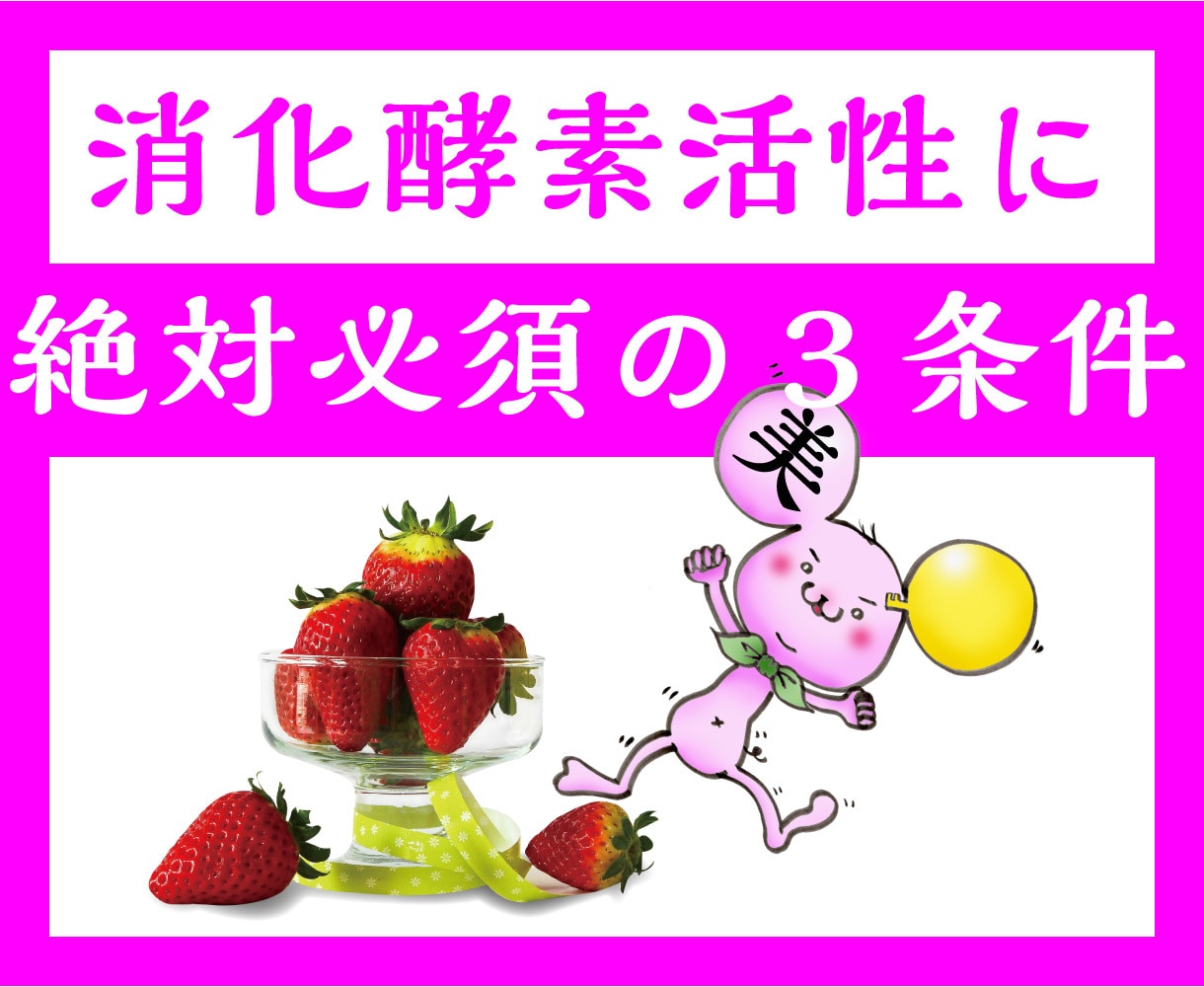 食材を栄養素or腐敗物にするかは酵素力で決まります 消化酵素活性に絶対必須の３条件 イメージ1