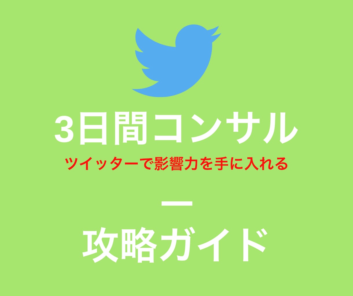 3日間あなたツイッターを徹底的にコンサルします 今後のためにファンを作って影響力を持っちゃおう！！ イメージ1