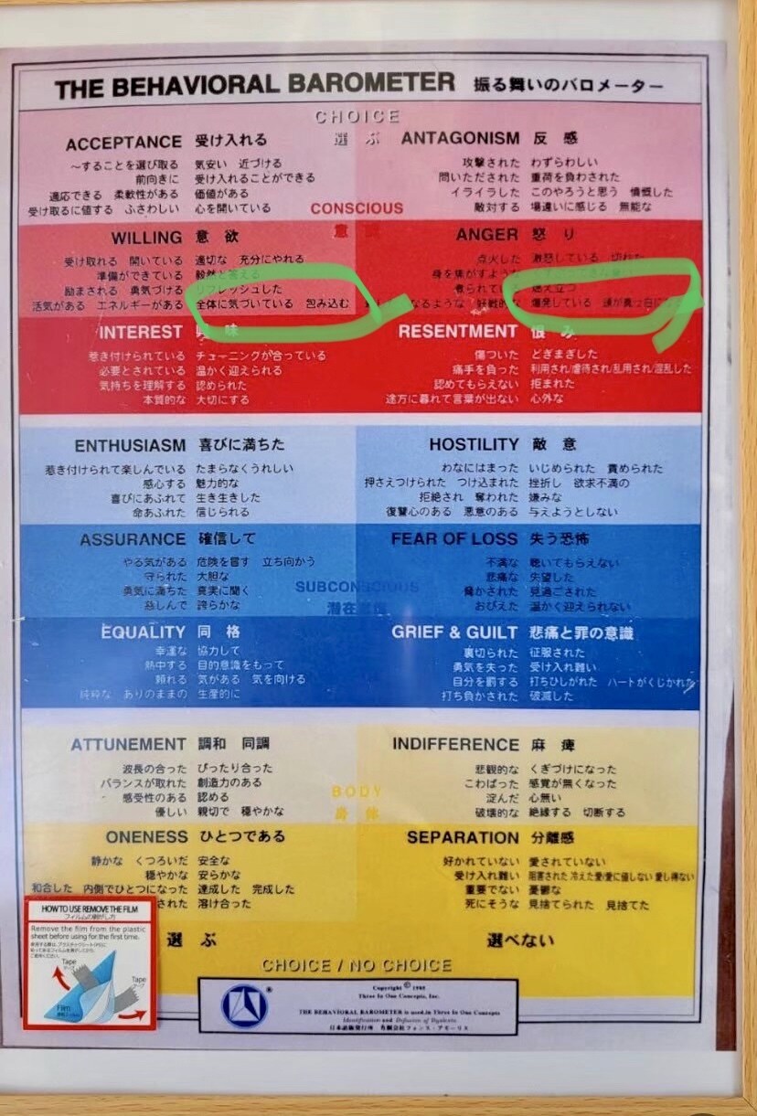 体重を減らします 食べたい意欲と怒りを意識化することで減らします イメージ4