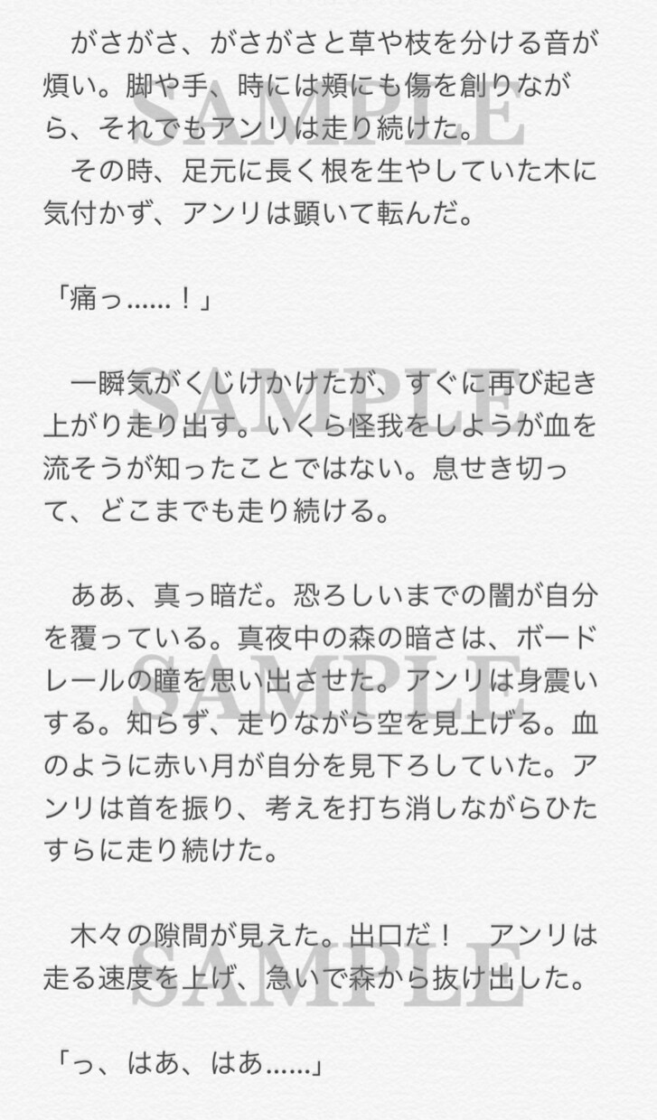 あなただけの小説を書きます ラノベ/恋愛/純文/BL/ギャグから絵本まで！？小説書きます イメージ3