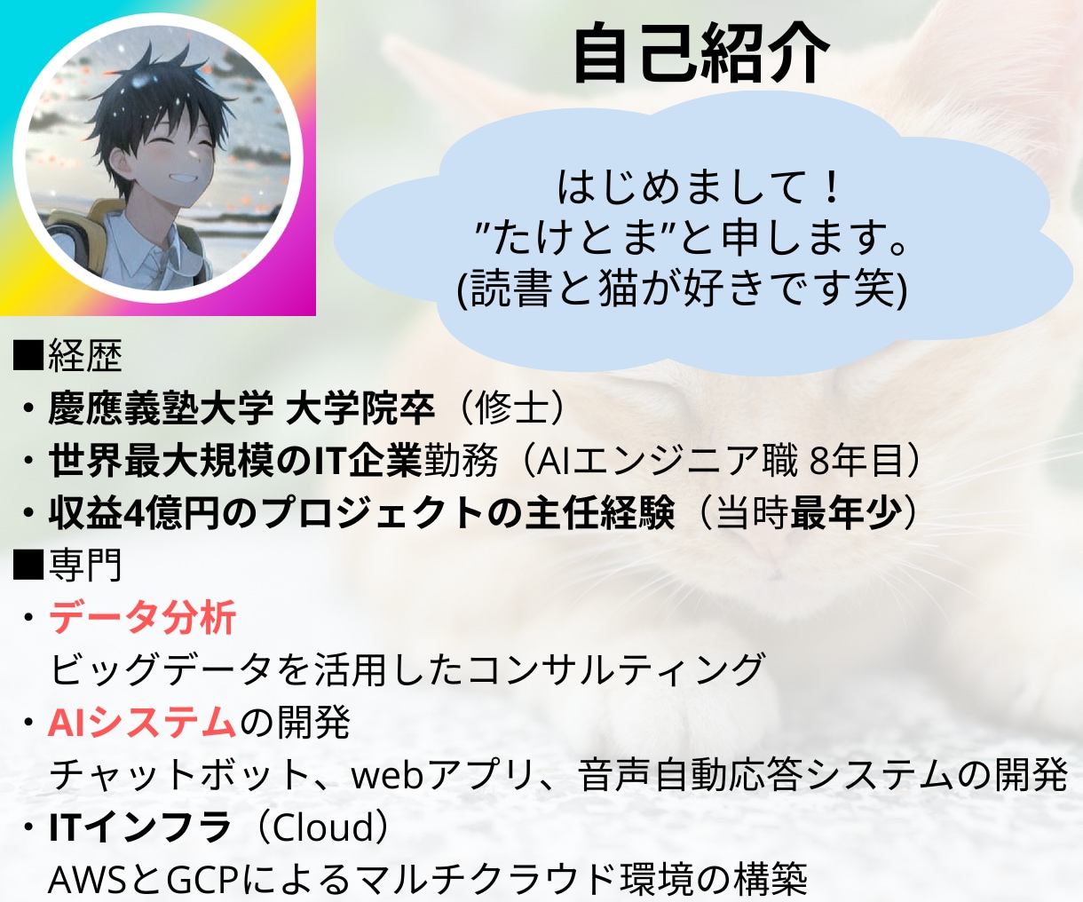 あなただけのAI教材をお作りします （慶應院卒）世界最大規模のIT企業で働くエンジニアがサポート イメージ3