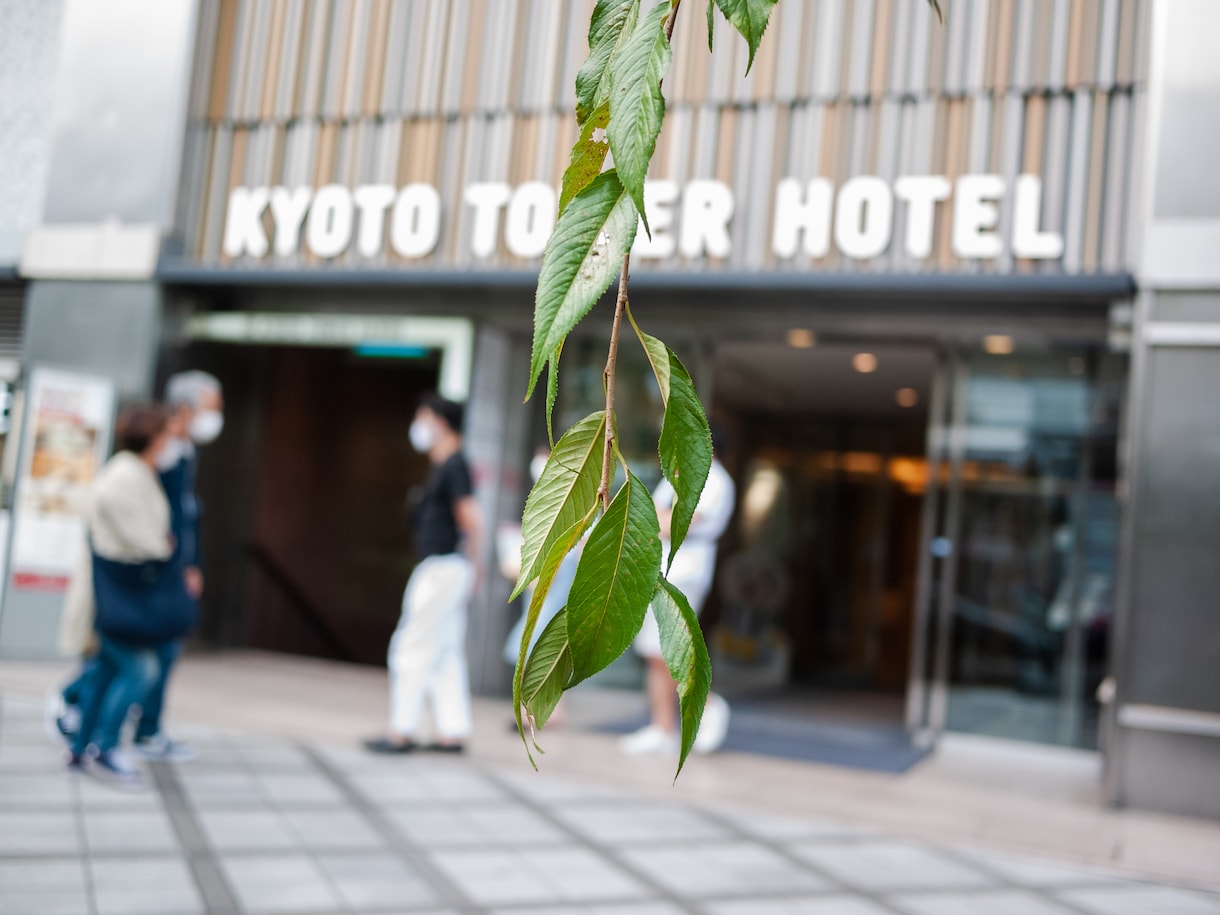 普通のエッセイが読みたいなら、他へお願いします 幅広い知見と独創的な視点を活かし、唯一無二の記事を執筆。 イメージ1