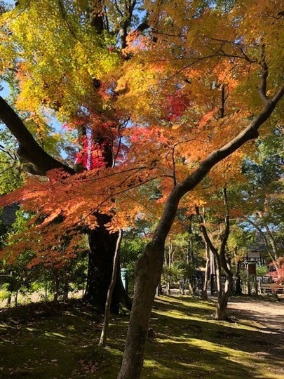 お二人のための国内旅行プラン！作成します お二人にぴったりの旅行プランをご提案します！！ イメージ4