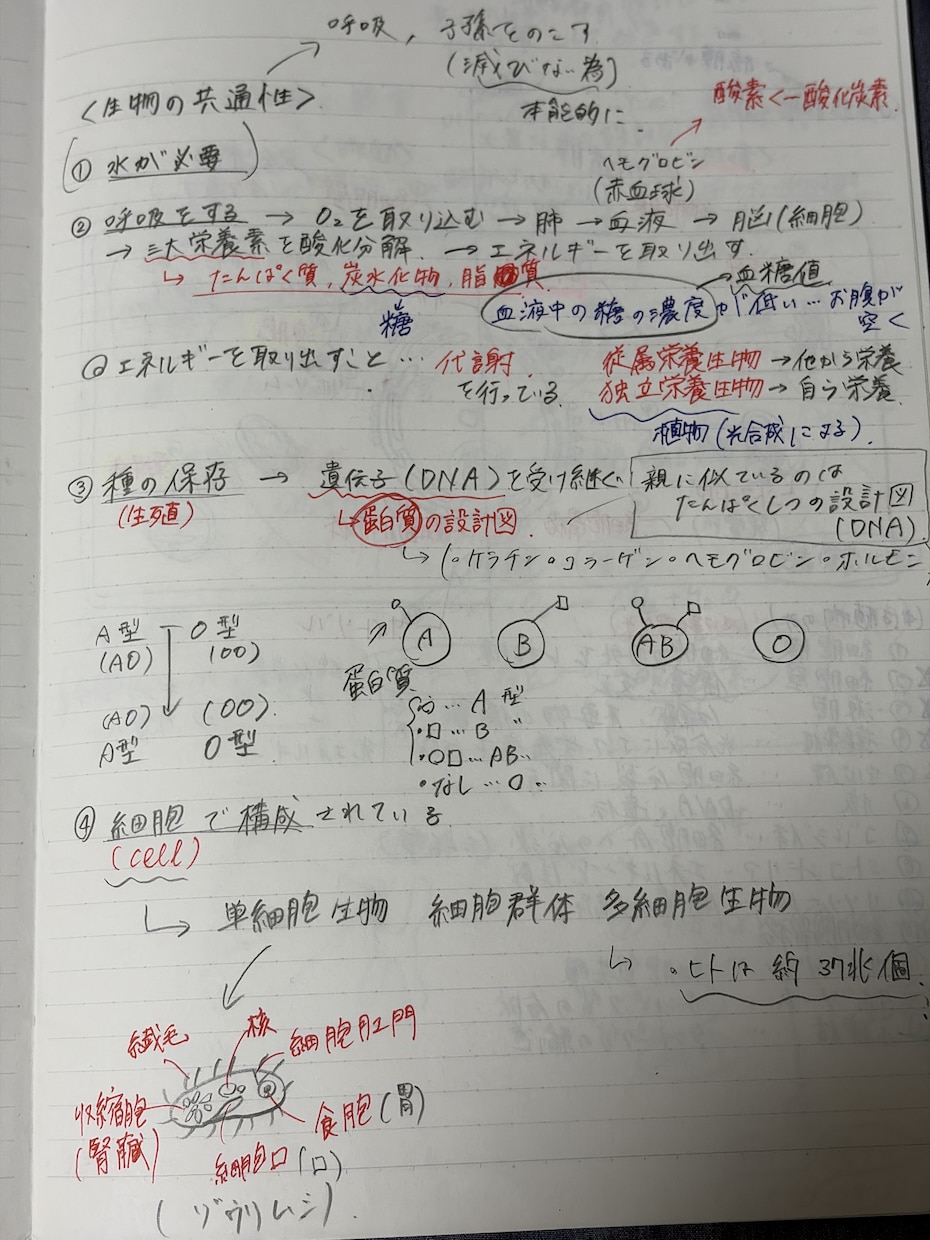 テストの成績アップのためのプリントを提供しています 小中高と成績トップの現役大学生がテスト点数アップの全てを伝授 イメージ2