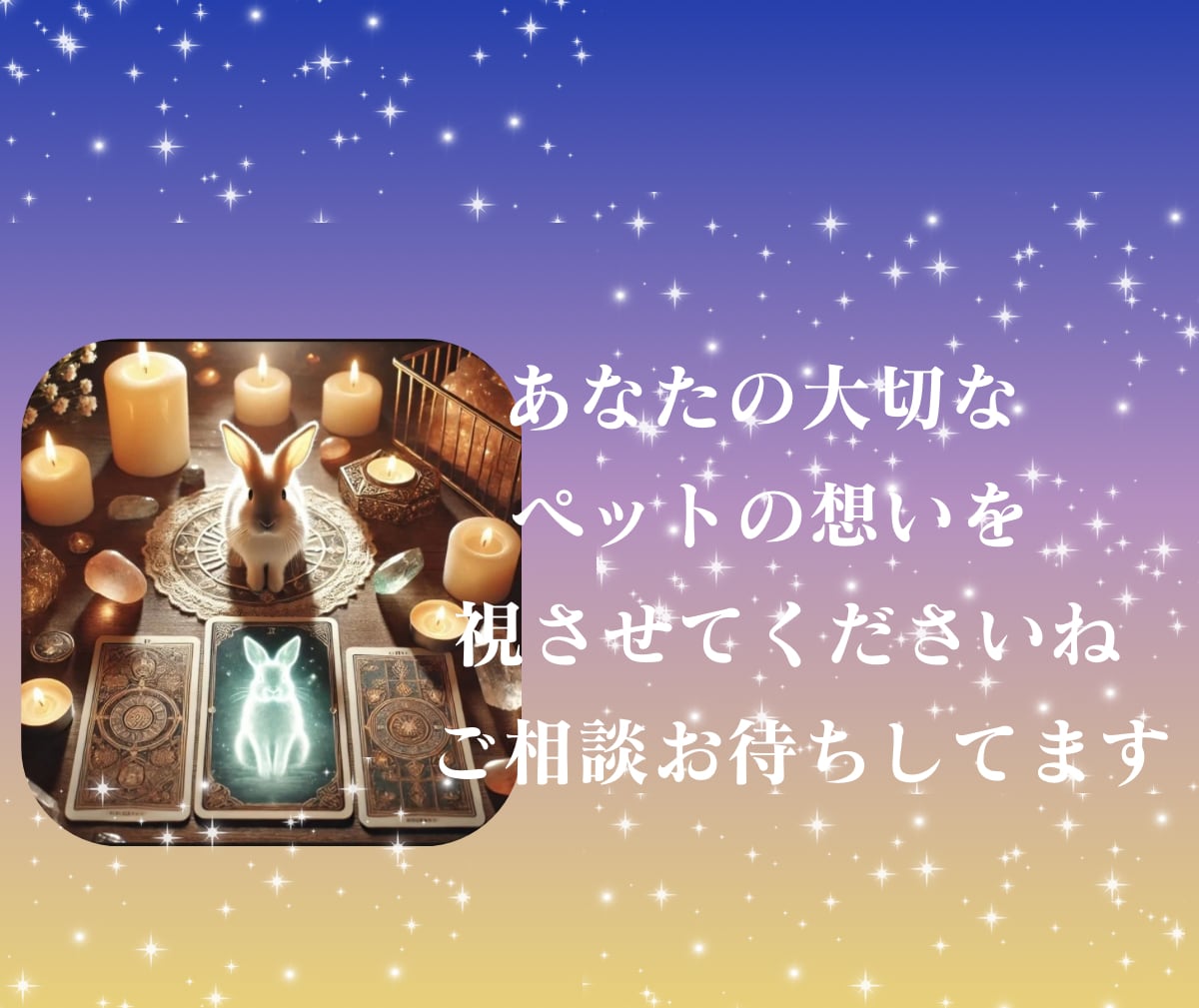 大切なペットがあなたに伝えたい想いを届けます 飼い主さんと心を繋ぐペットタロット！虹の橋の子にも対応 イメージ10