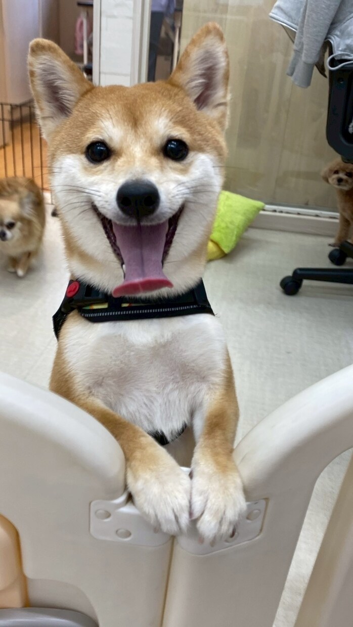 旦那上司友達からの愚痴相談ききます 誰にも言えない本音を出すだけで頭の中は驚くほど整理されます。 イメージ3