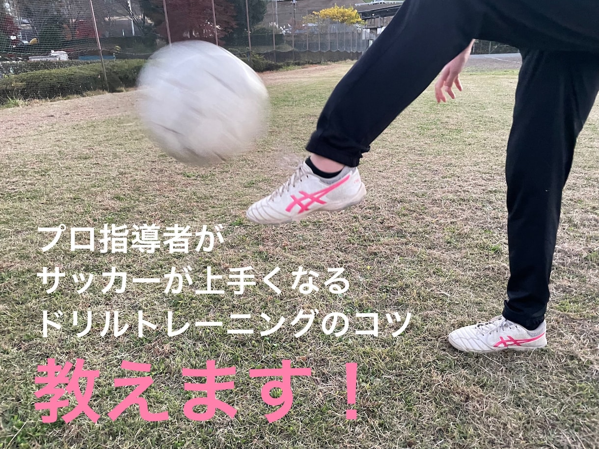 親子トレーニングをサポートします 何をどのように練習すれば良いか？プロがコツを教えます！ イメージ1