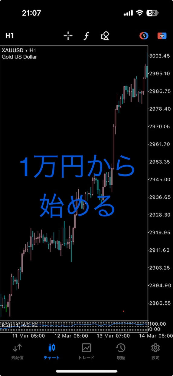 少額×ハイレバで効率的に資金を動かせます 専業になるための資金をコレで作りました。 イメージ1