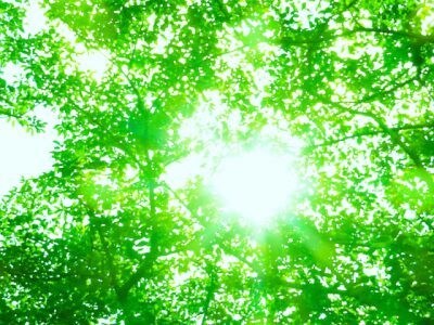 お話しましょ☆愚痴でも相談でも・・・何でも聞きます 人に話すだけでもスッキリしますよ！ イメージ1