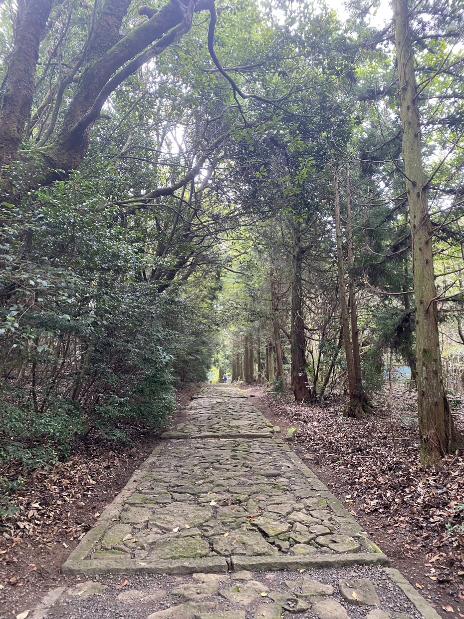 霊感【通話】にて神様からのメッセージお伝えします 霊感を使い、今あなたに必要な御言葉をお伝えします♡ イメージ1