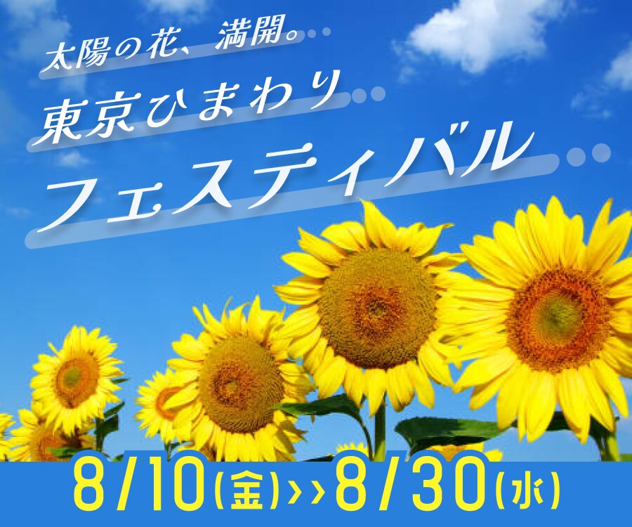 分かりやすいバナー、サムネイル画像を作ります お急ぎ案件もご相談ください！女性デザイナーが丁寧に作成します イメージ6