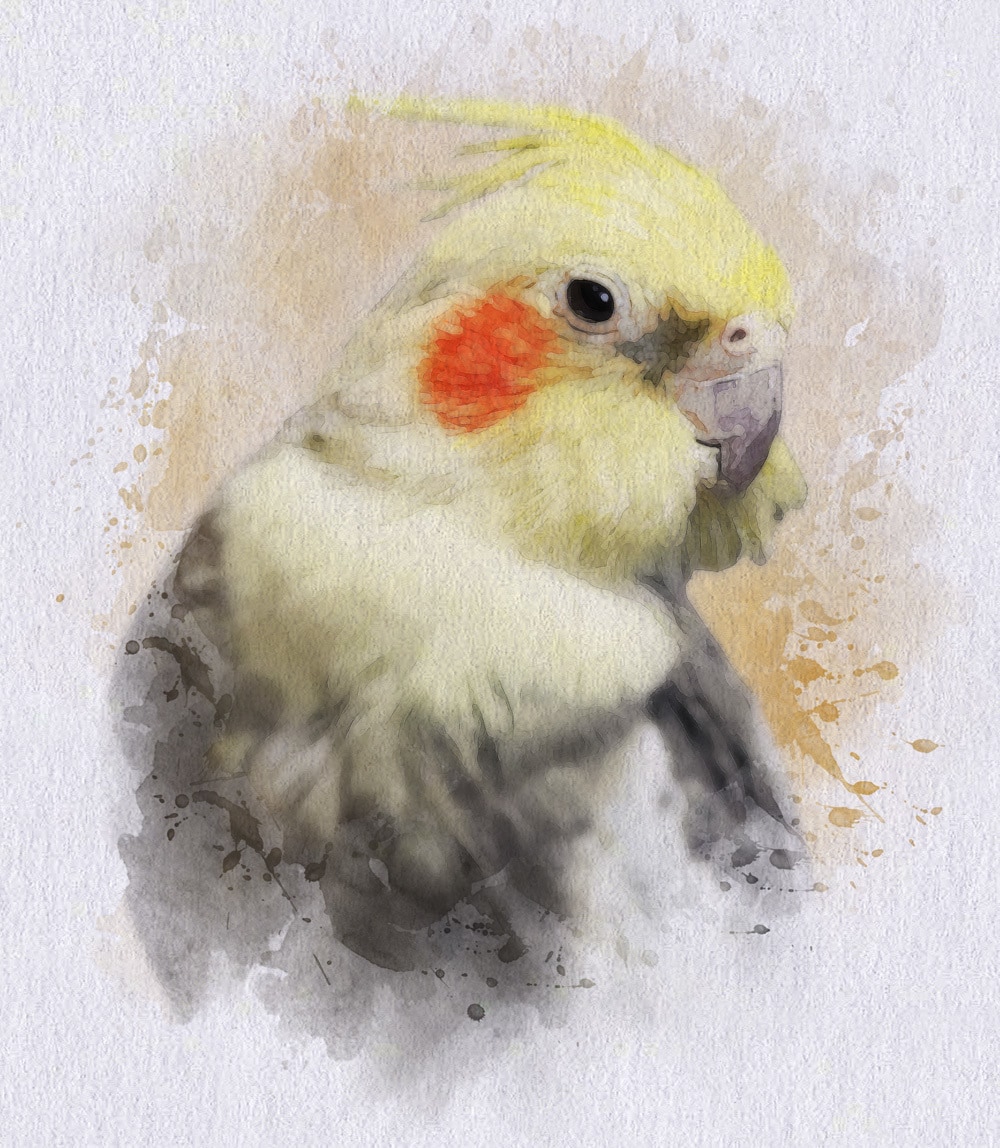 リアル系　★ペットイラスト★　制作いたします 大切な、うちの子ペット写真をずっと飾っておけるイラストに！ イメージ10