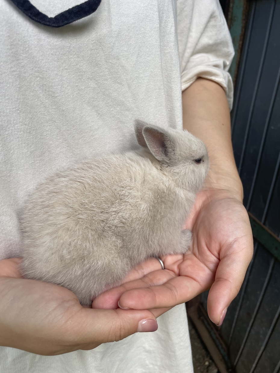 小学校担任歴11年⭐︎誰にも言えない悩み聞きます 得意なことは話を聞くこと！あなたの話100%肯定して聞きます イメージ2