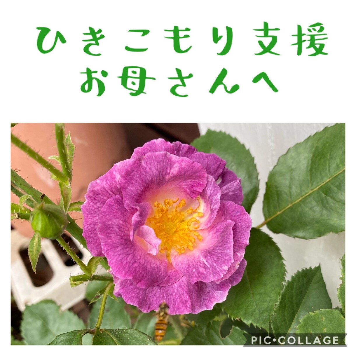 不登校・ひきこもり・子どもの暴言・相談承ります 専門資格保持者が「不登校やひきこもりの悩み」にお答えします。 イメージ10