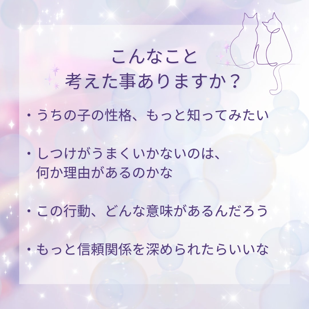 動物数秘学でペットの性格と関わり方を見ます うちの子の「らしさ」を知って、もっと仲良くなれる♡ イメージ2