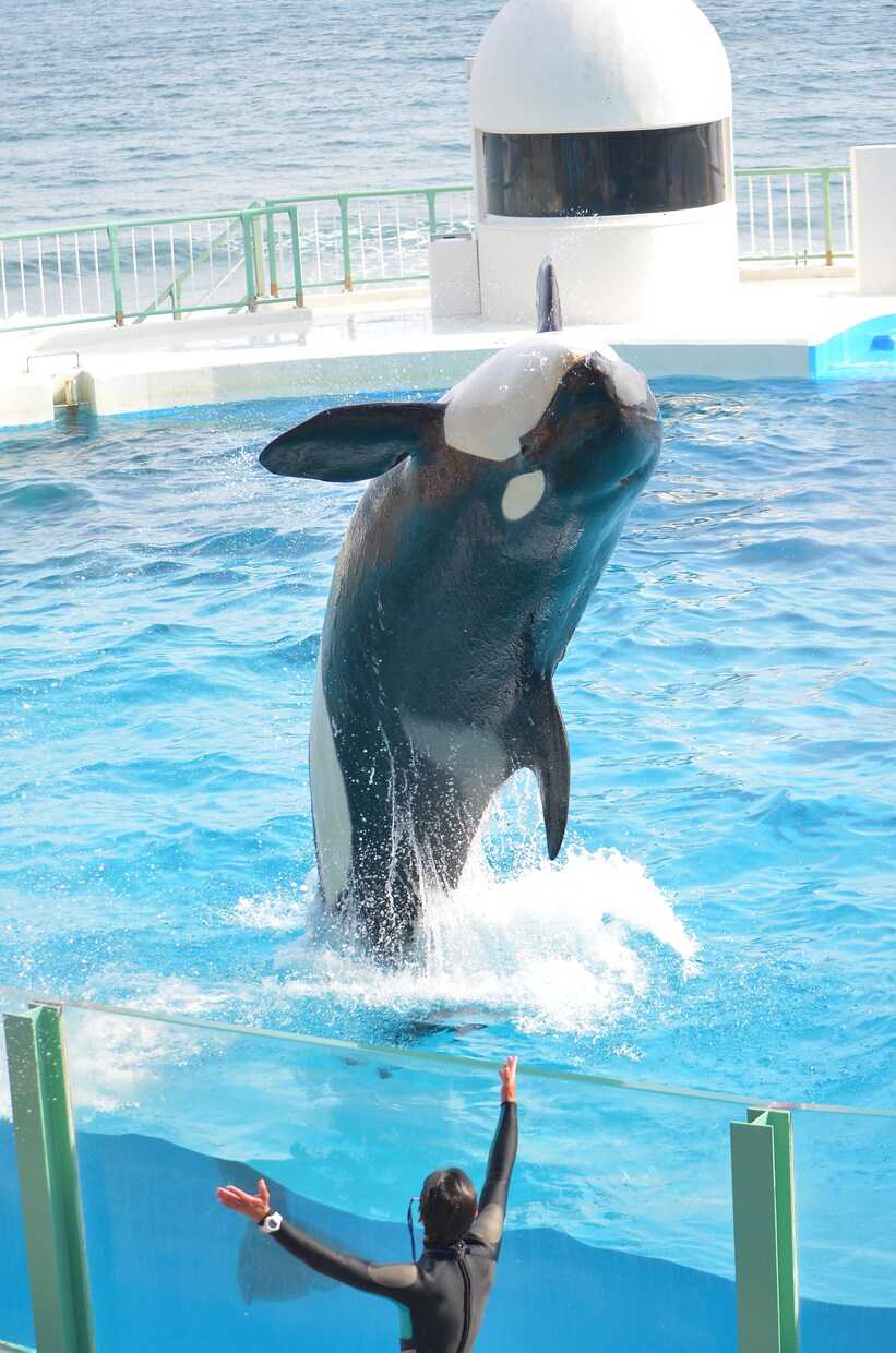 写真を綺麗に編集します お気に入りの写真をより良いものにしませんか？ イメージ5