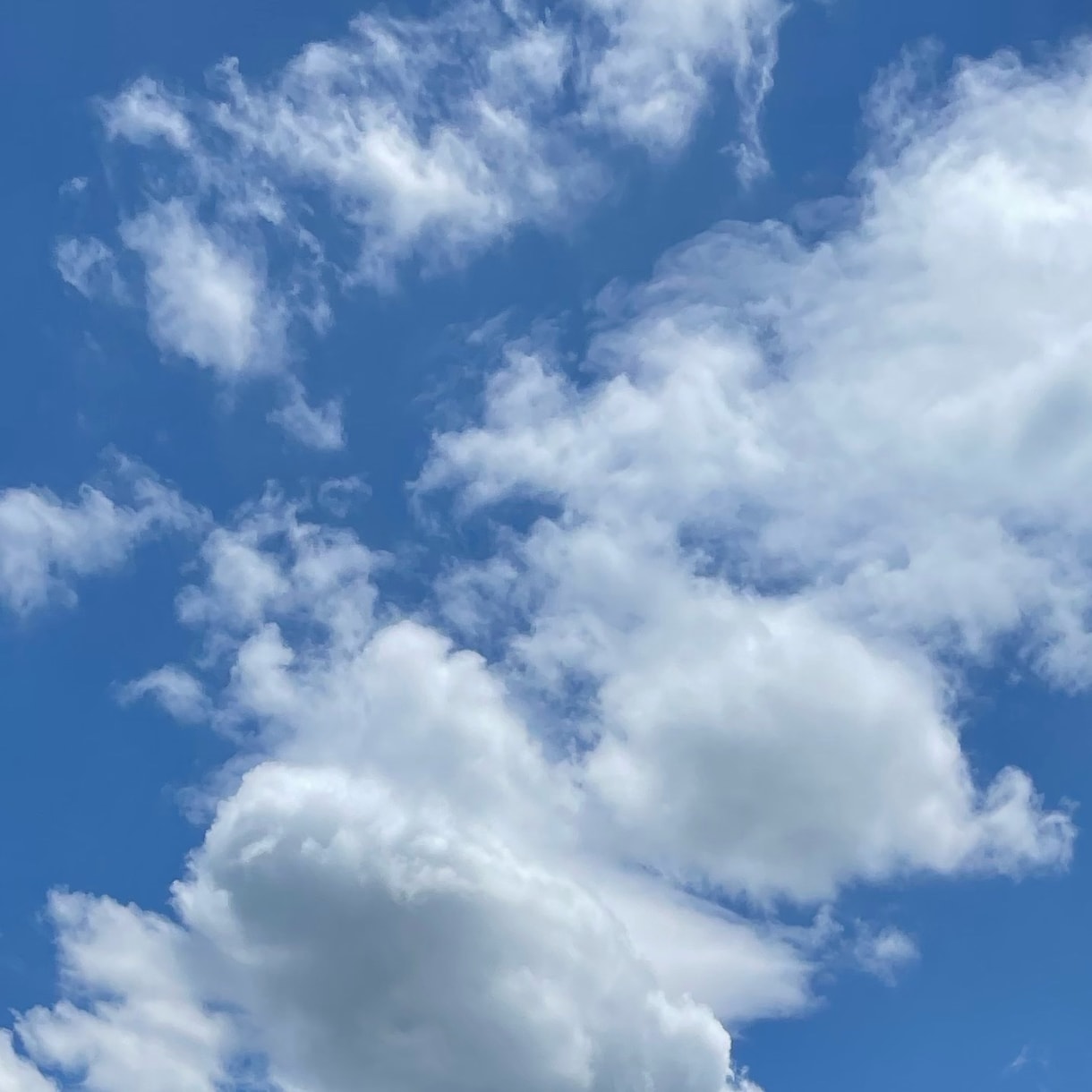 空　の写真素材を提供いたします 【空の写真】綺麗\癒し\素敵\ブルー イメージ6
