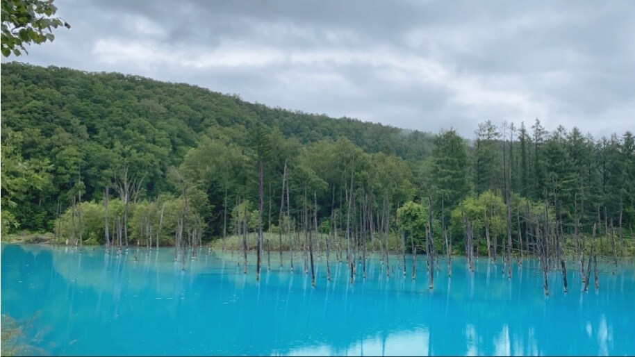 あなたのための北海道旅行プランを考えます 〜楽しい・美味しい・綺麗な北海道を紹介します〜 イメージ2