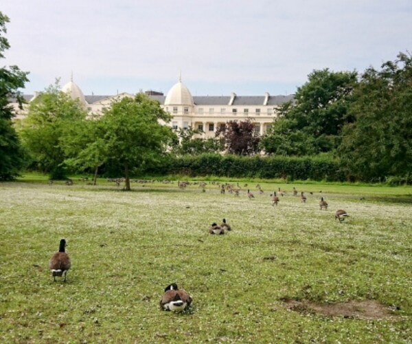トークルームでロンドン生活、留学体験お話します イギリス留学を考えてる・体験者のお話を聞きたいという人に。 イメージ5