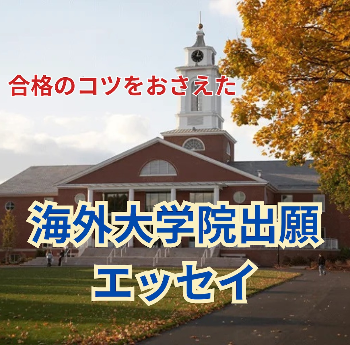 合格につながる海外大学院出願エッセイを作ります アメリカ大学院卒業のコンサルタントが英語エッセイ完成を支援 イメージ1