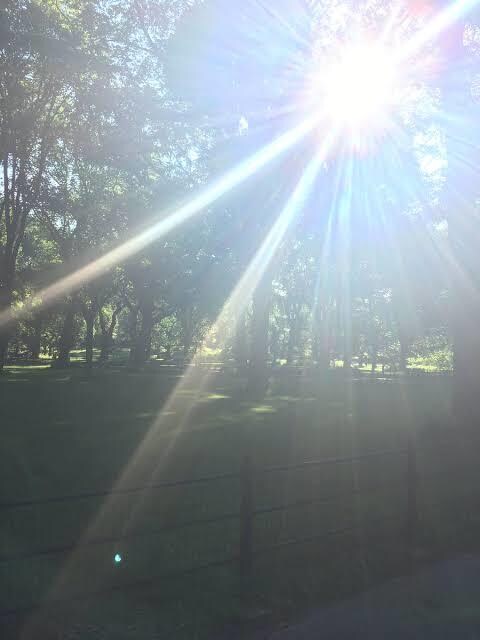 お相手のお気持ちをお伝え致します 思いの彼、彼女の気持ち伝えます。 イメージ4